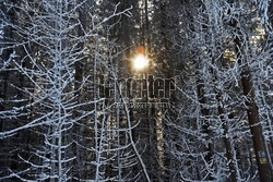 Ośrodek narciarski Ski Bachledova - Jezersko - Frankova na Słowacji