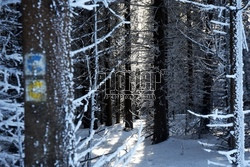 Ośrodek narciarski Ski Bachledova - Jezersko - Frankova na Słowacji