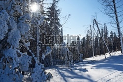 Ośrodek narciarski Ski Bachledova - Jezersko - Frankova na Słowacji