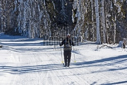 Ośrodek narciarski Ski Bachledova - Jezersko - Frankova na Słowacji