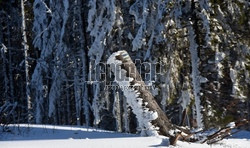 Ośrodek narciarski Ski Bachledova - Jezersko - Frankova na Słowacji