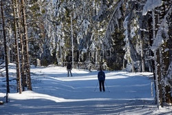 Ośrodek narciarski Ski Bachledova - Jezersko - Frankova na Słowacji