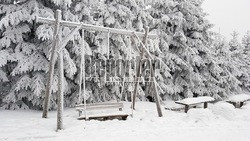 Zima w Gorcach