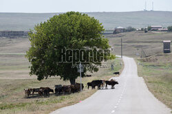 Gruzja: atrakcje turystyczne i życie codzienne