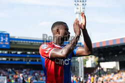 Crystal Palace v Wolverhampton Wanderers - Premier League