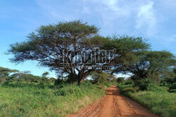 Kenia, Park Narodowy Tsavo West