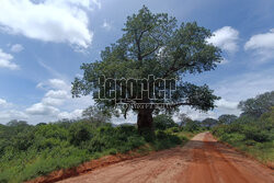 Kenia, Park Narodowy Tsavo West