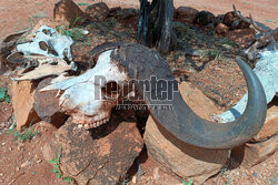 Kenia, Park Narodowy Tsavo West