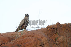 Kenia, Park Narodowy Tsavo West