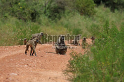 Kenia, Park Narodowy Tsavo West