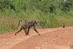 Kenia, Park Narodowy Tsavo West