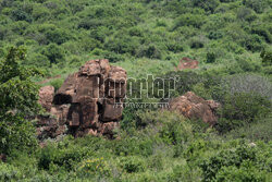 Kenia, Park Narodowy Tsavo West