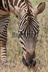 Kenia, Park Narodowy Tsavo West