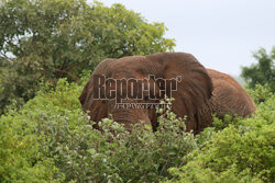 Kenia, Park Narodowy Tsavo West