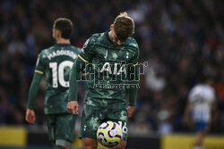 Brighton & Hove Albion FC v Tottenham Hotspur FC - Premier League