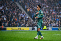 Brighton & Hove Albion FC v Tottenham Hotspur FC - Premier League