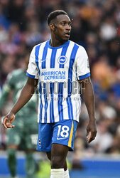 Brighton & Hove Albion FC v Tottenham Hotspur FC - Premier League