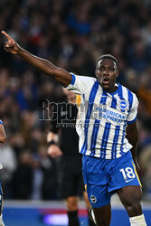 Brighton & Hove Albion FC v Tottenham Hotspur FC - Premier League