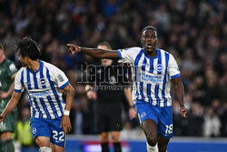 Brighton & Hove Albion FC v Tottenham Hotspur FC - Premier League