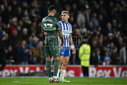 Brighton & Hove Albion FC v Tottenham Hotspur FC - Premier League