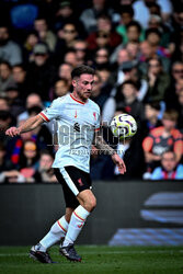 Crystal Palace FC v Liverpool FC - Premier League