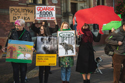 Gdański protest w obronie dzików