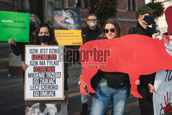 Gdański protest w obronie dzików