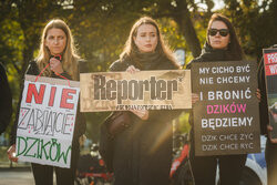 Gdański protest w obronie dzików