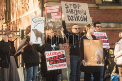 Gdański protest w obronie dzików