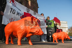 Gdański protest w obronie dzików