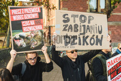 Gdański protest w obronie dzików