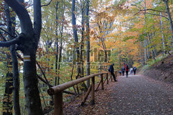 Bieszczady jesienią