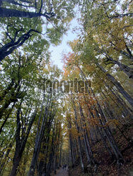 Bieszczady jesienią