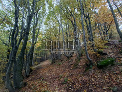 Bieszczady jesienią