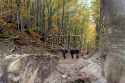 Bieszczady jesienią