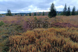 Bieszczady jesienią