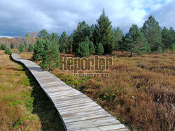 Bieszczady jesienią