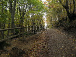 Bieszczady jesienią