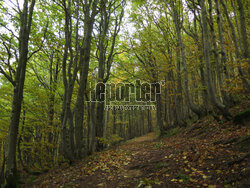 Bieszczady jesienią