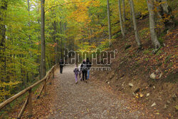 Bieszczady jesienią