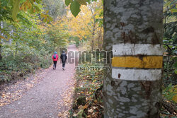 Bieszczady jesienią