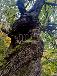 Bieszczady jesienią