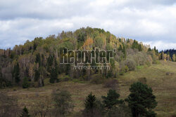 Bieszczady jesienią