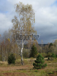 Bieszczady jesienią