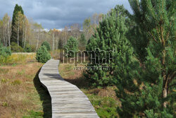 Bieszczady jesienią