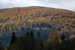 Bieszczady jesienią