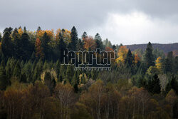 Bieszczady jesienią