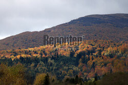 Bieszczady jesienią