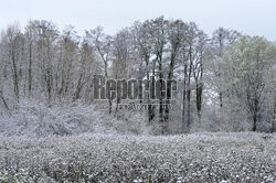 Pierwszy śnieg w Warszawie