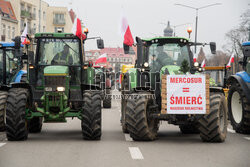 Protest rolników wobec umowy UE-Mercosur